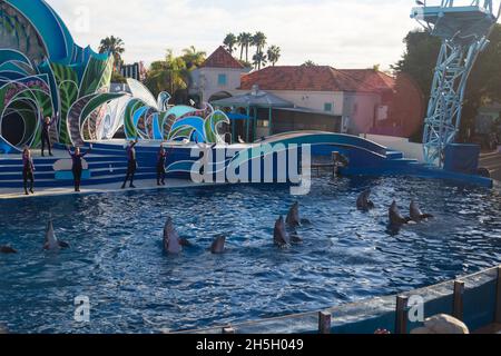 Süße Delfine spielen auf der Show in SeaWorld San Diego Stockfoto