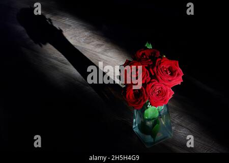 Ein Strauß roter Rosen, der von einem kleinen Sonnenstrahl erleuchtet wird. Stockfoto