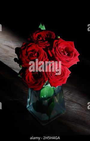 Ein Strauß roter Rosen, der von einem kleinen Sonnenstrahl erleuchtet wird. Stockfoto