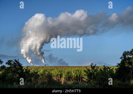 Dampf steigt aus Zuckermühlenstapeln, North Queensland, Australien Stockfoto