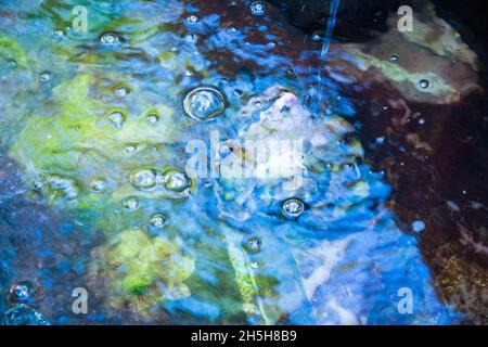 Boden des alten Wasserbeckens mit zerstörten dekorativen Fliesen und Meeresmuschel Stockfoto