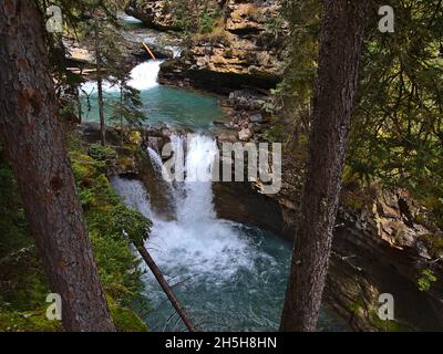 Ruhige Szene mit Fluss und Wasserfall zwischen Felsen in der Schlucht Johnston Canyon, Banff National Park, Alberta, Kanada, durch die Baumstämme betrachtet. Stockfoto