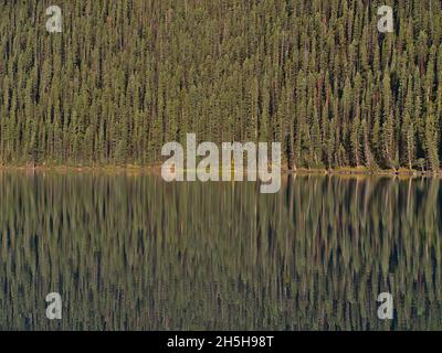 Schöner Blick auf das Ufer des Lake Louise im Morgensonnenlicht mit bunten Bäumen, die sich im glatten Wasser des Banff National Park, Kanada, spiegeln. Stockfoto