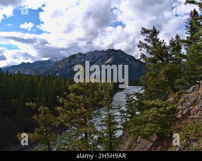 Schöner Blick auf den Bow River, umgeben von Wäldern mit grünen Nadelbäumen in der Nähe von Banff, Alberta, Kanada, in den Rocky Mountains mit Mount Norquay Peak. Stockfoto