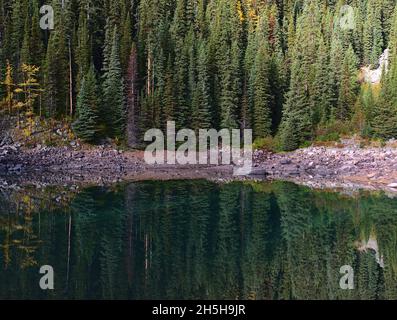 Atemberaubender Blick auf den Mirror Lake am Morgen mit farbenfrohen Bäumen, die sich in der ruhigen Wasseroberfläche in der Nähe von Lake Louise im Banff National Park, Kanada, widerspiegeln. Stockfoto