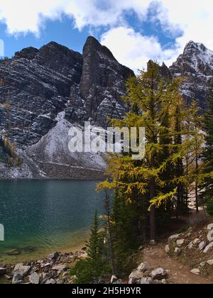 Portraitansicht des Lake Agnes im Herbst mit gelben Lärchenbäumen und Wanderweg am Ufer nahe Lake Louise, Banff National Park, Kanada. Stockfoto