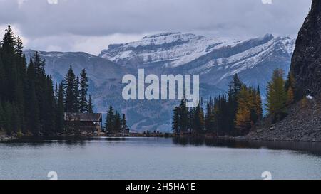 Blick über den beliebten Lake Agnes in der Nähe von Lake Louise, Banff National Park, Alberta, Kanada mit Teehaus, Wald und den schneebedeckten Rocky Mountains. Stockfoto