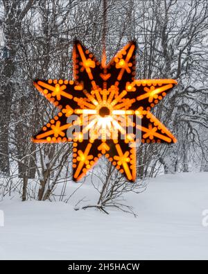 Adventsstern vor dem Wald Stockfoto