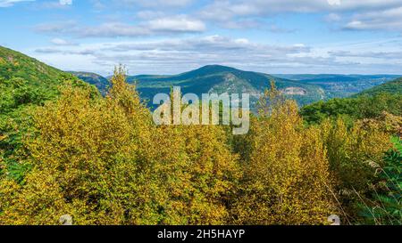 Blick auf das Hudson Valley und die Highlands vom Aussichtspunkt auf der Route 9W am Storm King Mountain, New York. Vorboden von Birkenbäumen im Herbstlaub Stockfoto