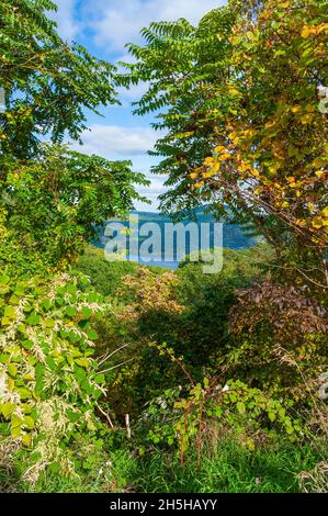 Blick auf das Hudson Valley und die Highlands durch üppige Vegetation, vom Aussichtspunkt auf der Route 9W auf dem Storm King Mountain. Cornwall, New York Stockfoto