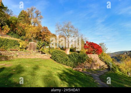 Berühmter Pfad mit öffentlichen Gärten namens 'Philosophenweg' in Heidelberg Stadt im Odenwald am sonnigen Herbsttag Stockfoto