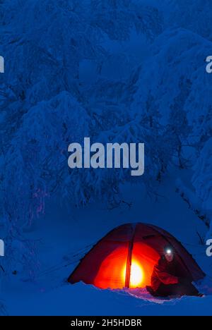 Winter Camping im schneebedeckten Wald Stockfoto