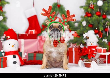 Rentier Weihnachten Kostüm Hund. Französische Bulldogge mit Geweih, die vor Weihnachtsbäumen und Geschenkboxen sitzt Stockfoto