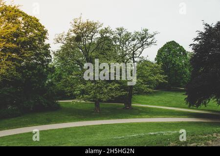 20. Mai 2019 Dresden, Deutschland - Japanisches Palais, das Gebäude und der formale Garten Stockfoto