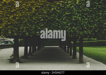 20. Mai 2019 Dresden, Deutschland - Japanisches Palais, das Gebäude und der formale Garten Stockfoto