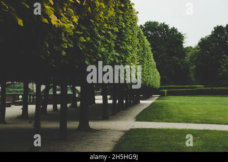 20. Mai 2019 Dresden, Deutschland - Japanisches Palais, das Gebäude und der formale Garten Stockfoto