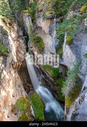 Wasserfall in einer Schlucht, Maligne Canyon, wilder Fluss, der durch die Schlucht fließt, Jasper National Park National Park, Canadian Rocky Mountains, Alberta, Kanada Stockfoto