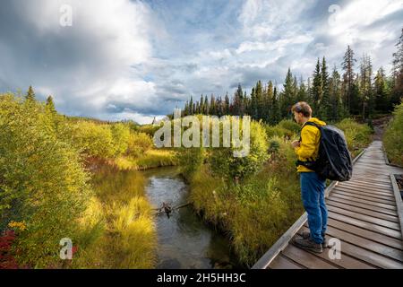 Wanderweg auf einem Holzweg an einem Bach, Wanderweg im Tal der fünf Seen, Herbstlandschaft, Jasper Nationalpark, Berge dahinter Stockfoto