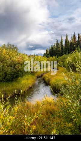 Bach, der durch die herbstliche Landschaft fließt, gelb verfärbende Büsche, Wanderweg im Tal der fünf Seen, Jasper National Park, Berge Stockfoto