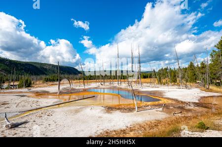 Tote Bäume in Opalisierenden Pool mit mineralischen Ablagerungen, schwarzer Sand Basin, Yellowstone National Park, Wyoming, USA Stockfoto