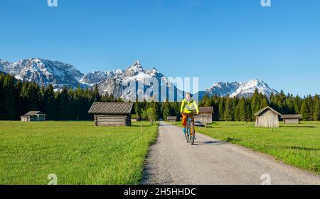 Mountainbiker unterwegs durch Wiese mit Heuschreppen, hinter verschneiten Berggipfeln im Frühjahr, Mieminger Kette mit Ehrwalder Sonnenspitze, Ehrwald Stockfoto