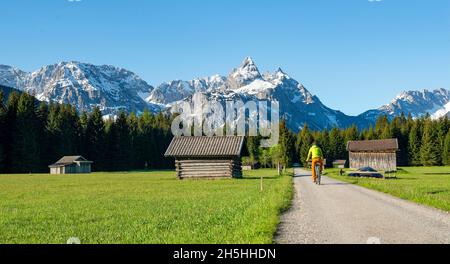 Mountainbiker unterwegs durch Wiese mit Heuschreppen, hinter verschneiten Berggipfeln im Frühjahr, Mieminger Kette mit Ehrwalder Sonnenspitze, Ehrwald Stockfoto