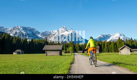 Mountainbiker unterwegs durch Wiese mit Heuschreppen, hinter verschneiten Berggipfeln im Frühjahr, Mieminger Kette mit Ehrwalder Sonnenspitze, Ehrwald Stockfoto