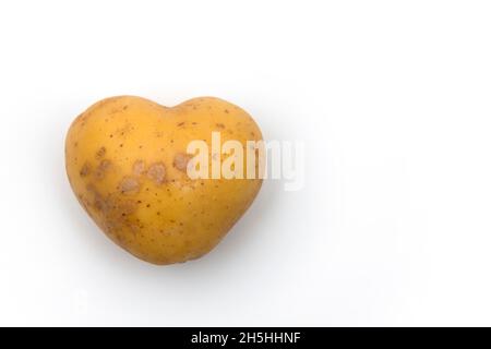 Herzförmige Kartoffel, Baden-Württemberg, Deutschland Stockfoto