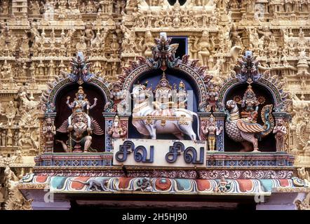 Shiva und Parvathi auf Rishaba- und Garudalvar-Stuckfiguren, Thanumalayan-Tempel, Suchindram in Kanyakumari, Tamil Nadu, Indien Stockfoto