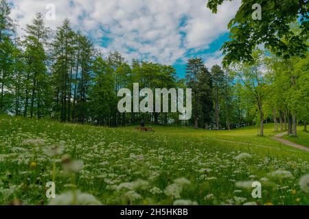 Baumgarten (Burggarten) in Füssen bei Hochburg. Ein öffentlicher Park im Zentrum der Stadt Stockfoto