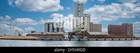 Panorama der Holzverarbeitungsfabrik mit Maschinen und Lastwagen Stockfoto