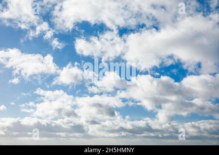Schafe. Schleier- und (Cumulus-)Wolken schmücken den blauen Himmel bei starken Winden Stockfoto