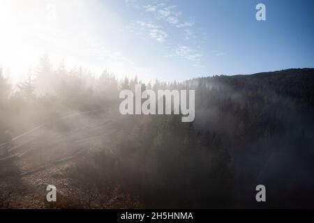 Sonne scheint durch dichten Nebel über dem Wald am Sonnentag Morgen | erstaunliches Wetter mit Nebel, Wolken und Sonnenstrahlen über Nadelwald auf Bergpfad Stockfoto