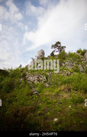 Atemberaubende Aussicht Cliffs Ovegrown mit grüner Vegetation und Baum auf | Foto von unten schöne Landschaft mit hohen Klippen mit Pflanzen und Himmel bedeckt Stockfoto