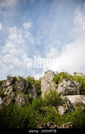 Atemberaubende Aussicht Cliffs Ovegrown mit dichter grüner Vegetation und klarem Himmel im Hintergrund schöne Landschaft hohen weißen Felsen mit Pflanzen bedeckt Stockfoto