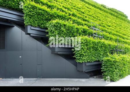 Büro- und Geschäftsgebäude KOE-Bogen II, mit Hainbuche-Hecken angelegt, Architekt Christoph Ingenhoven, Düsseldorf, Rheinland, Nord Stockfoto