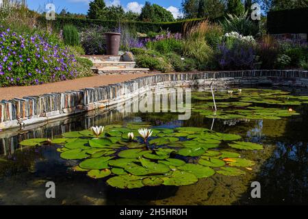 Farbenfrohe, flache Ansicht des größten Wasseranlages im Cool Garden von RHS Rosemoor. Mit Lily’s, Reflections and Natural Stone Detail #2. Stockfoto