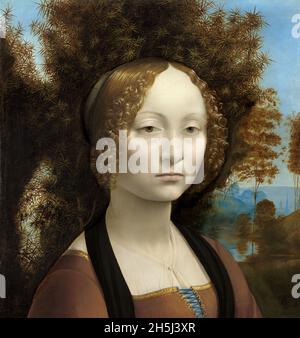 Leonardo da Vinci: Ginevra de' Benci Datum: (c. 1474 - 1478) Medium Oil on Panel Oil on Panel Dimensions Height: 427 mm (16.81 in); Width: 370 mm (14.56 in) Stockfoto