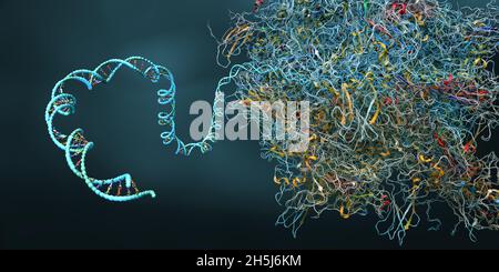 Ribosom als Teil einer biologischen Zelle, die Boten-rna-Molekül baut - 3d-Illustration Stockfoto