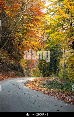 Neblige Morgen in den Bergen von Žumberak. Stockfoto