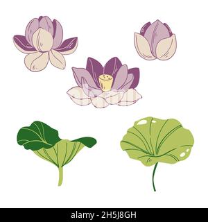 Vektor-Set von Hand gezeichneten Lotusblumen und Blätter. Skizze florale Botanik-Kollektion in farbiger Grafik Stockfoto