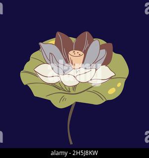 Vektor-Set von Hand gezeichneten Lotusblumen und Blätter. Skizze florale Botanik-Kollektion in farbiger Grafik Stockfoto