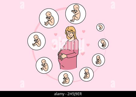 Schwanger Frau berühren Bauch bereit für zukünftige Mutterschaft. Schwangerschaft Embryo Stadien der Entwicklung. Baby Geburt Phasen pro Monat. Fruchtbarkeit, ivf, Mutterschaft Konzept. Vektorgrafik. Stock Vektor