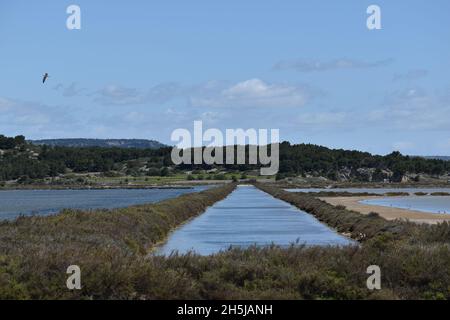 Gruissan, Österreich, Languedoc Roussillon Südfrankreich, Europa Stockfoto