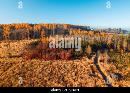 Luftaufnahme der Landschaft bei Sonnenaufgang im Herbst, traditionelle Herbstlandschaft mit aufgehender Sonne in Mitteleuropa. Nebliger und nebliger Sonnenaufgang. Gefrorene Landschaft Stockfoto