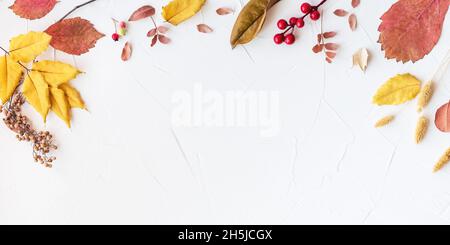 Flacher Lagenrahmen mit bunten Herbstblättern und Beeren auf weißem Hintergrund. Platz für Text. Hallo Herbstkonzept Stockfoto