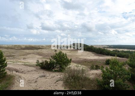 Herrlicher Blick auf die sandigen Grauen Dünen an der Kurischen Nehrung. Das Konzept von Tourismus und Erholung. Stockfoto