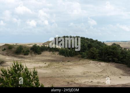 Herrlicher Blick auf die sandigen Grauen Dünen an der Kurischen Nehrung. Das Konzept von Tourismus und Erholung. Stockfoto