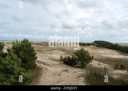 Herrlicher Blick auf die sandigen Grauen Dünen an der Kurischen Nehrung. Das Konzept von Tourismus und Erholung. Stockfoto