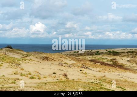 Herrlicher Blick auf die sandigen Grauen Dünen an der Kurischen Nehrung. Das Konzept von Tourismus und Erholung. Stockfoto